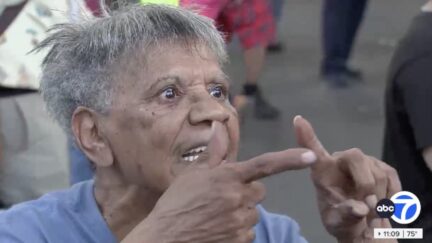 Anti-Trump protestor at Bronx rally